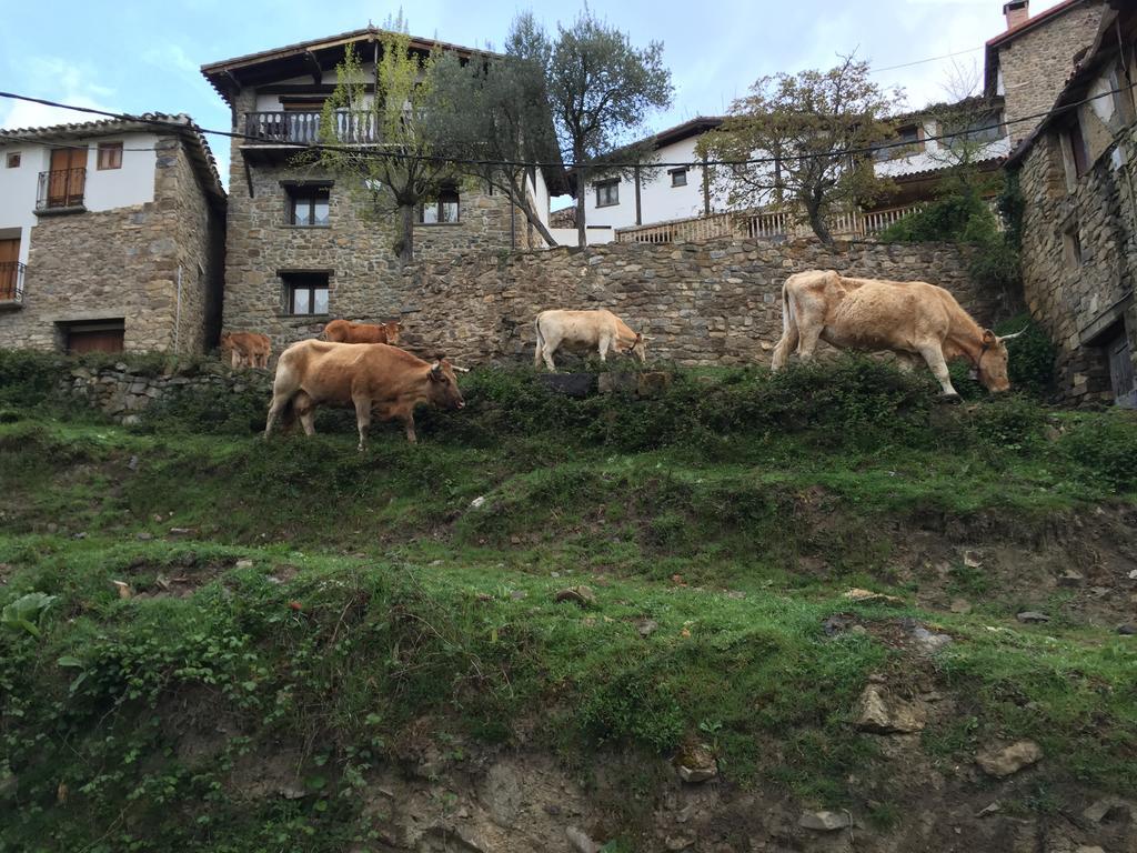 Casa Tia Upe Villa San Roman de Cameros Luaran gambar